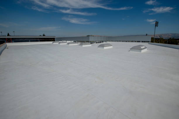 Best Roof Coating and Sealing  in Cornwells Heights, PA